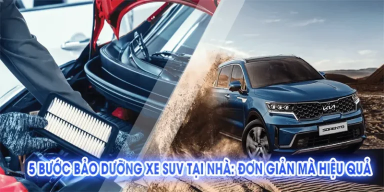 5 Bước Bảo Dưỡng Xe SUV Tại Nhà: Đơn Giản Mà Hiệu Quả